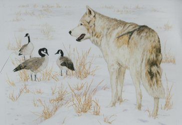 Wintry Watch